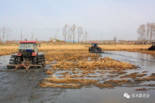 全省農村人居環境整治暨春耕生產現場推進會議召開，聚焦稻谷生產助力鄉村振興